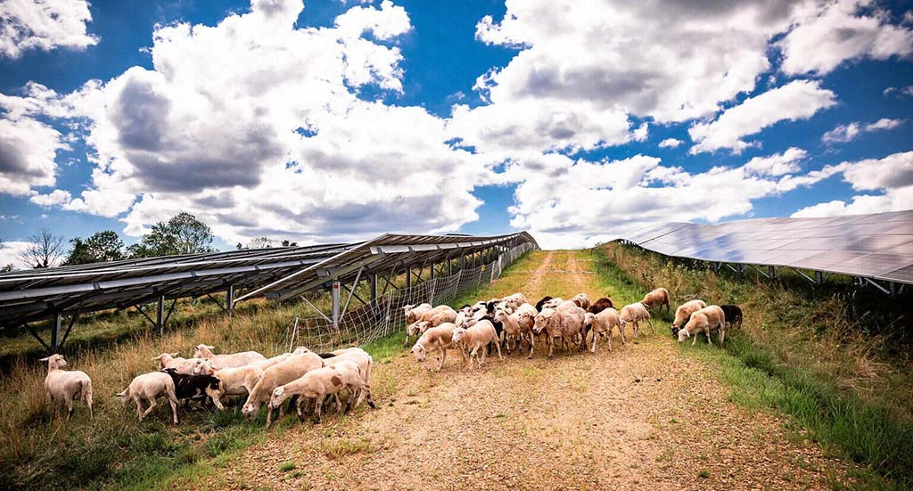 9 AgriSolar Clearinghouse